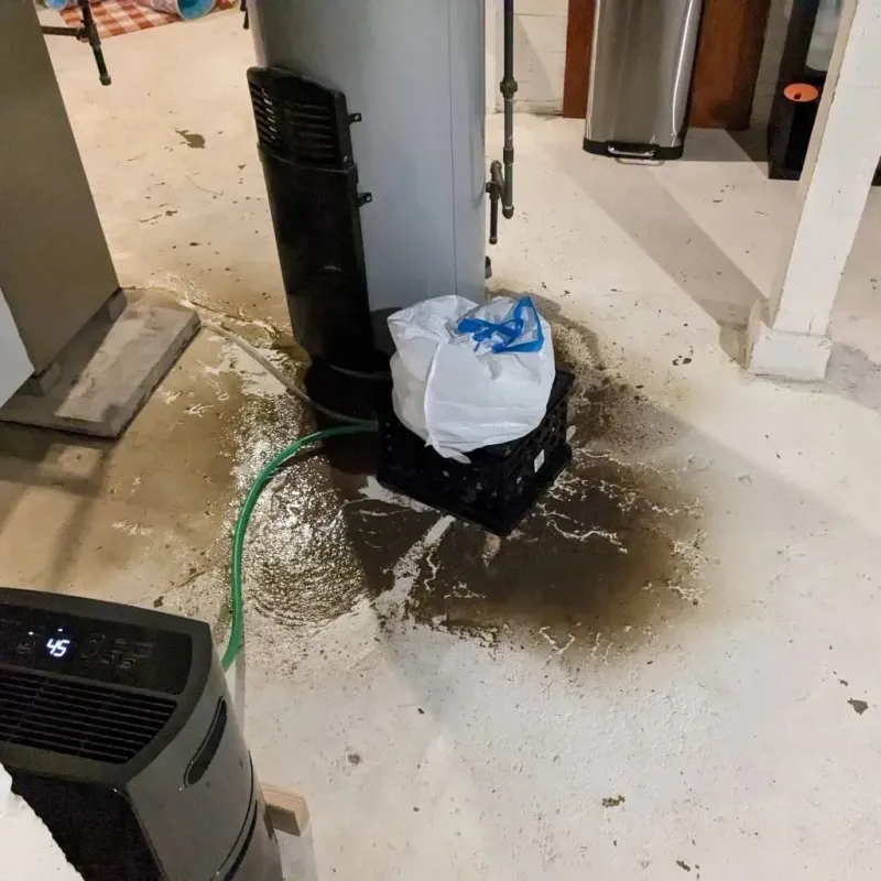 Sewage Backup Cleanup Service in Pine Grove Mills, PA